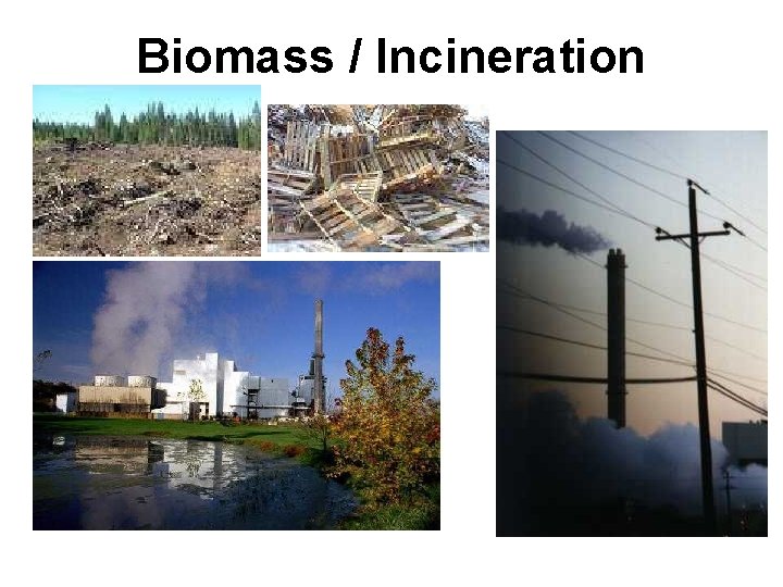 Biomass / Incineration 
