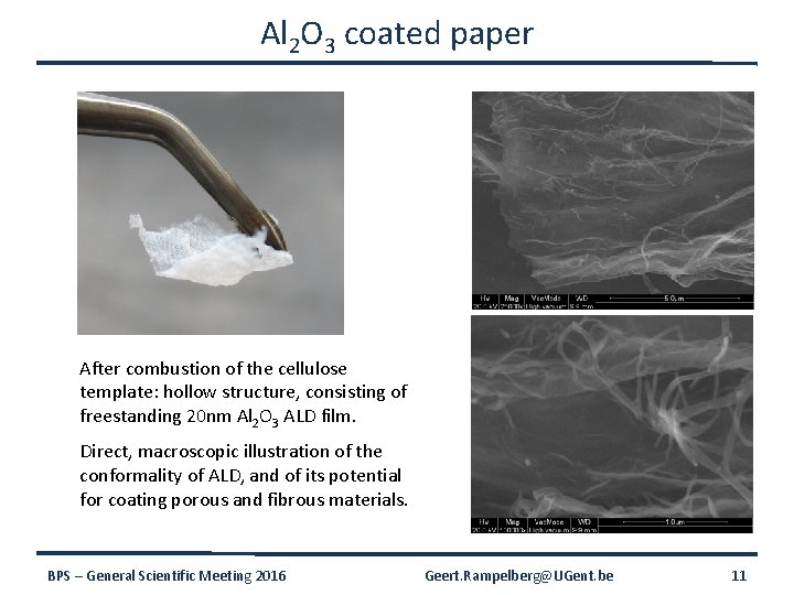Al 2 O 3 coated paper After combustion of the cellulose template: hollow structure,