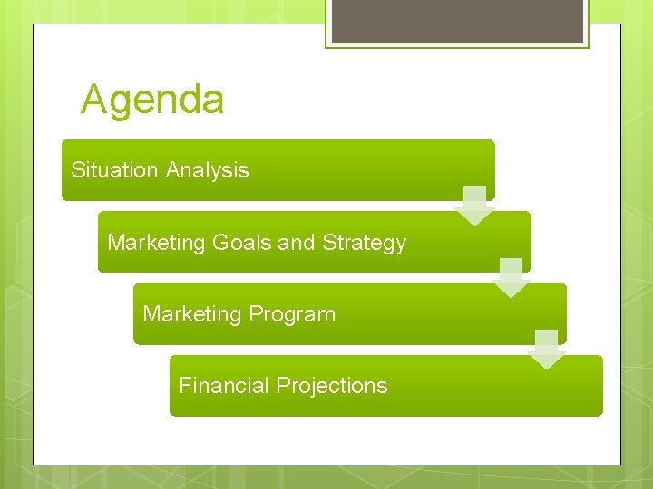 Agenda Situation Analysis Marketing Goals and Strategy Marketing Program Financial Projections 