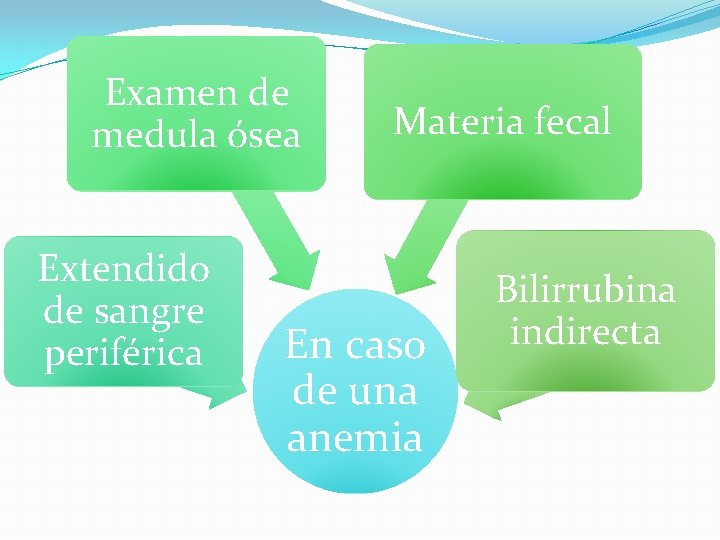 Examen de medula ósea Extendido de sangre periférica Materia fecal En caso de una Examen de medula ósea Extendido de sangre periférica Materia fecal En caso de una