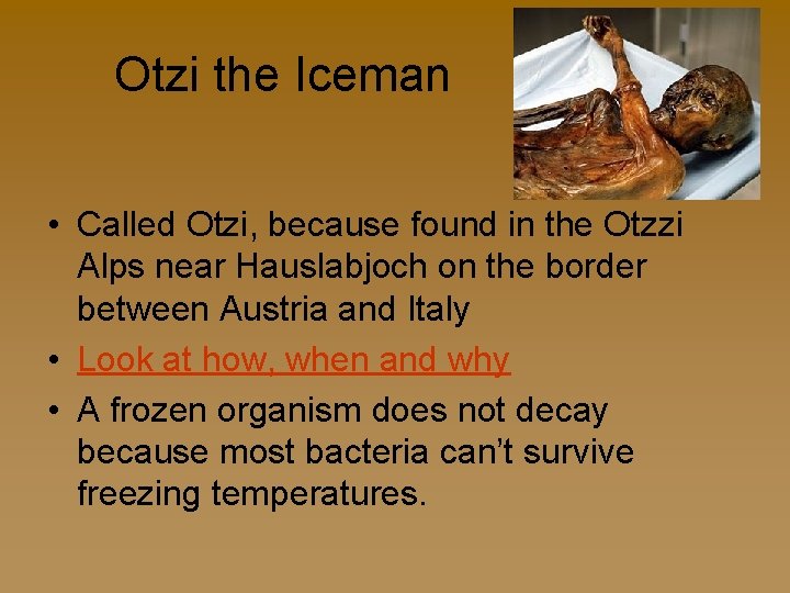 Otzi the Iceman • Called Otzi, because found in the Otzzi Alps near Hauslabjoch