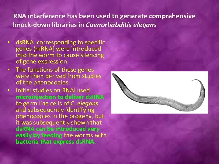 RNA interference has been used to generate comprehensive knock-down libraries in Caenorhabditis elegans •