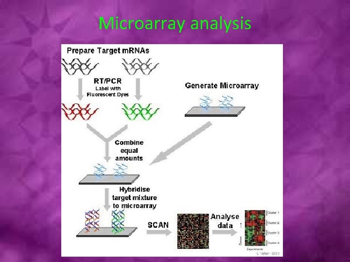 Microarray analysis 