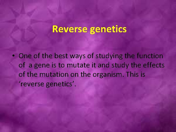 Reverse genetics • One of the best ways of studying the function of a