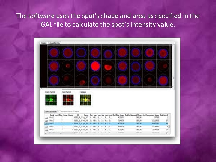 The software uses the spot’s shape and area as specified in the GAL file