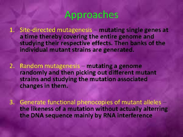 Approaches 1. Site-directed mutagenesis – mutating single genes at a time thereby covering the