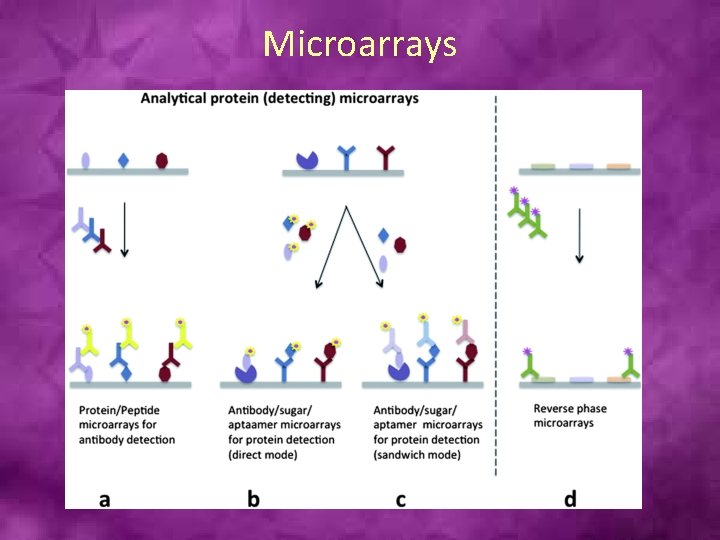 Microarrays 