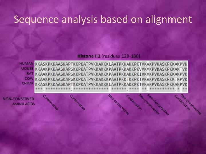 Sequence analysis based on alignment 
