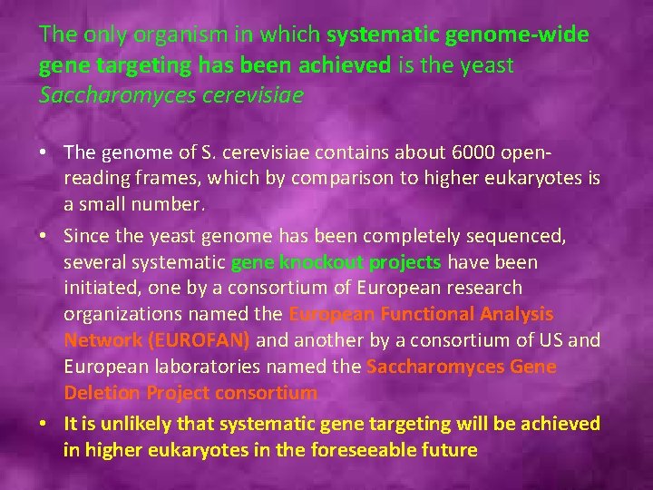 The only organism in which systematic genome-wide gene targeting has been achieved is the