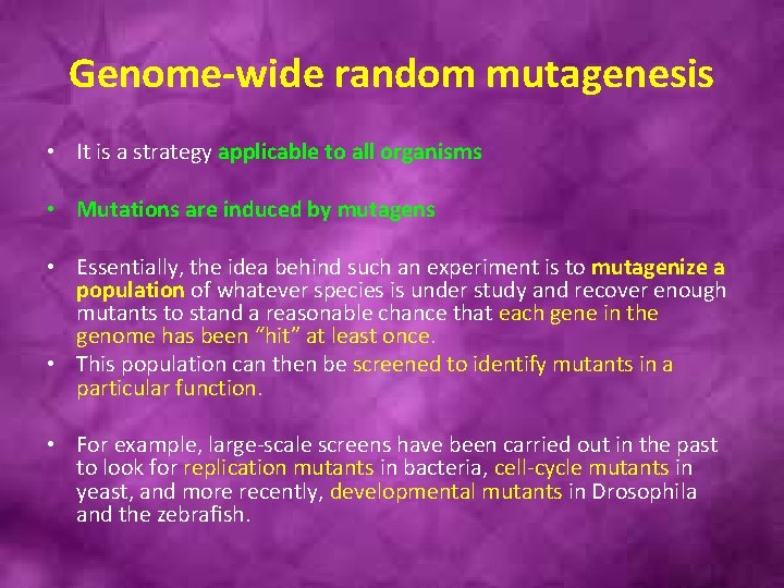 Genome-wide random mutagenesis • It is a strategy applicable to all organisms • Mutations