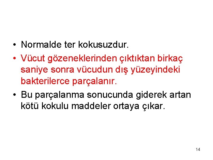  • Normalde ter kokusuzdur. • Vücut gözeneklerinden çıktıktan birkaç saniye sonra vücudun dış