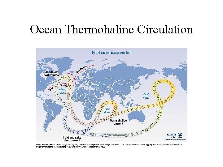 Ocean Thermohaline Circulation 