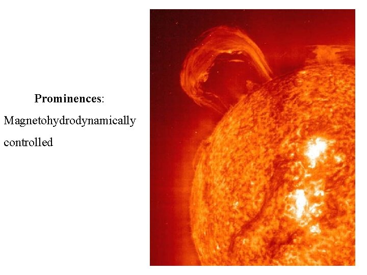 Prominences: Magnetohydrodynamically controlled 