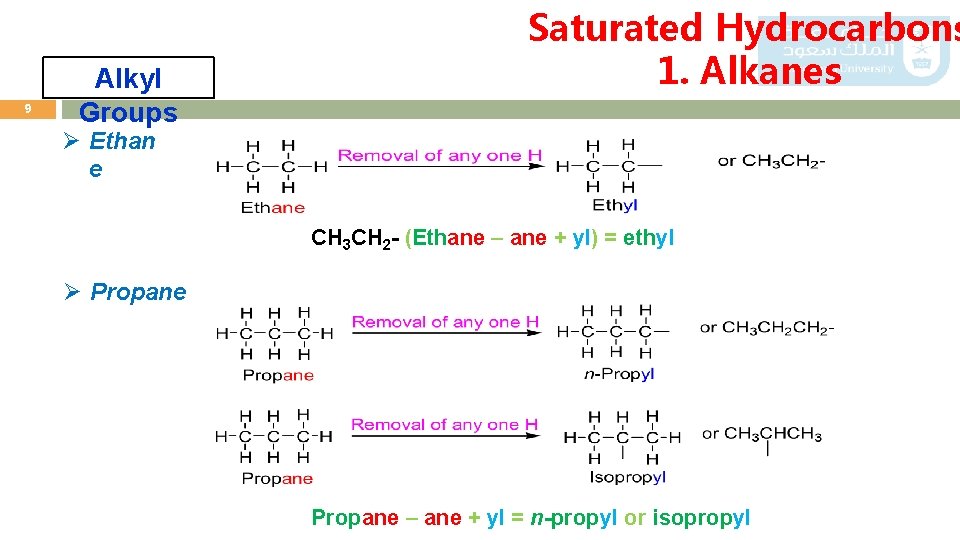 9 Alkyl Groups Saturated Hydrocarbons 1. Alkanes Ø Ethan e CH 3 CH 2