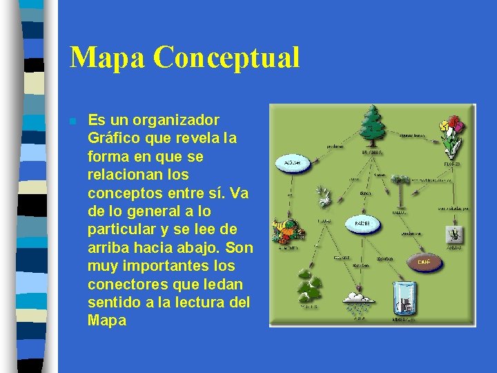 Mapa Conceptual n Es un organizador Gráfico que revela la forma en que se