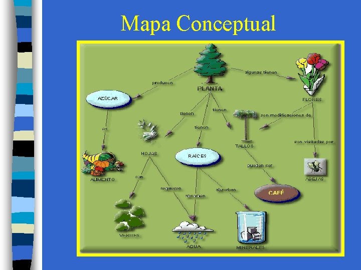 Mapa Conceptual 