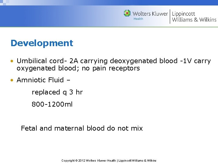 Development • Umbilical cord- 2 A carrying deoxygenated blood -1 V carry oxygenated blood;