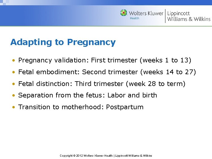 Adapting to Pregnancy • Pregnancy validation: First trimester (weeks 1 to 13) • Fetal