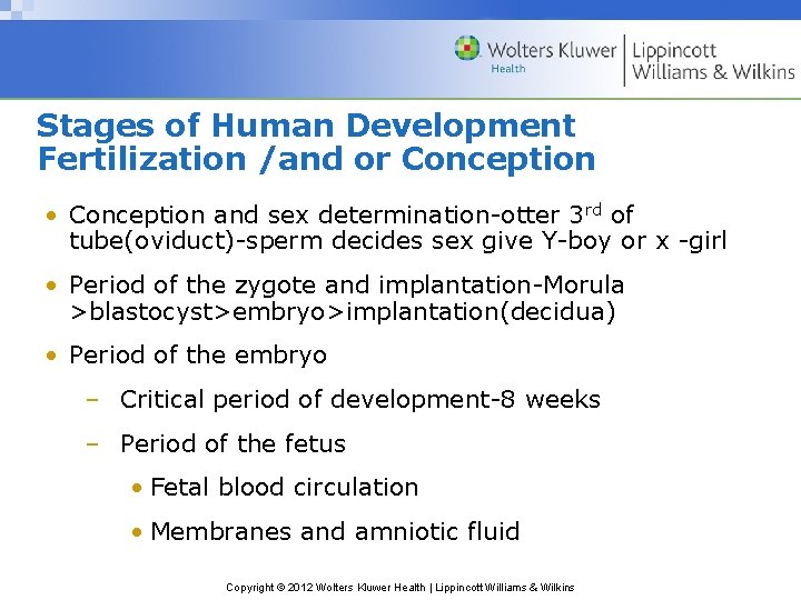 Stages of Human Development Fertilization /and or Conception • Conception and sex determination-otter 3