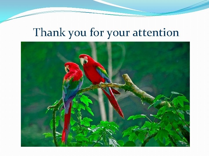 Thank you for your attention Thank you for your attention