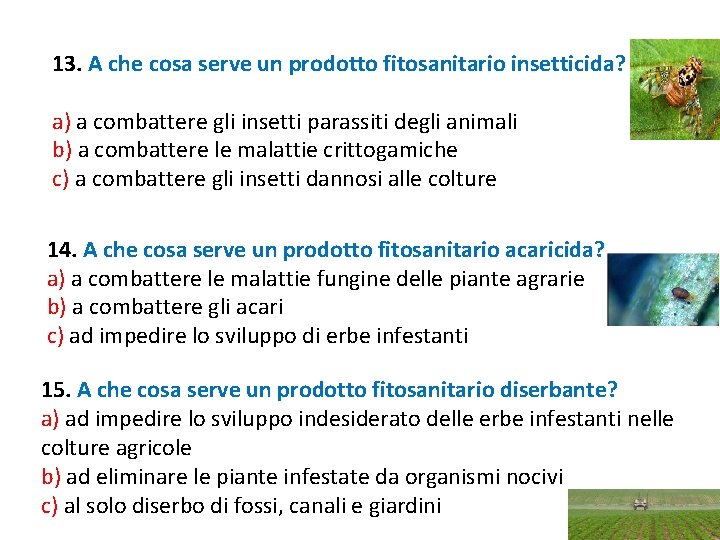 13. A che cosa serve un prodotto fitosanitario insetticida? a) a combattere gli insetti 13. A che cosa serve un prodotto fitosanitario insetticida? a) a combattere gli insetti