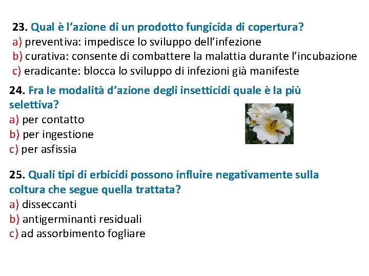 23. Qual è l’azione di un prodotto fungicida di copertura? a) preventiva: impedisce lo 23. Qual è l’azione di un prodotto fungicida di copertura? a) preventiva: impedisce lo