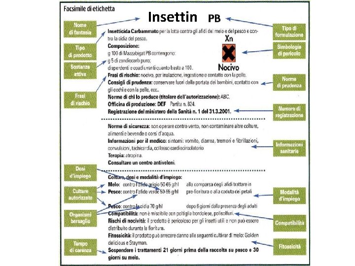 Insettin Insettin