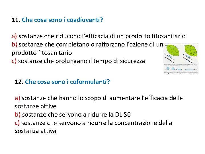 11. Che cosa sono i coadiuvanti? a) sostanze che riducono l’efficacia di un prodotto 11. Che cosa sono i coadiuvanti? a) sostanze che riducono l’efficacia di un prodotto