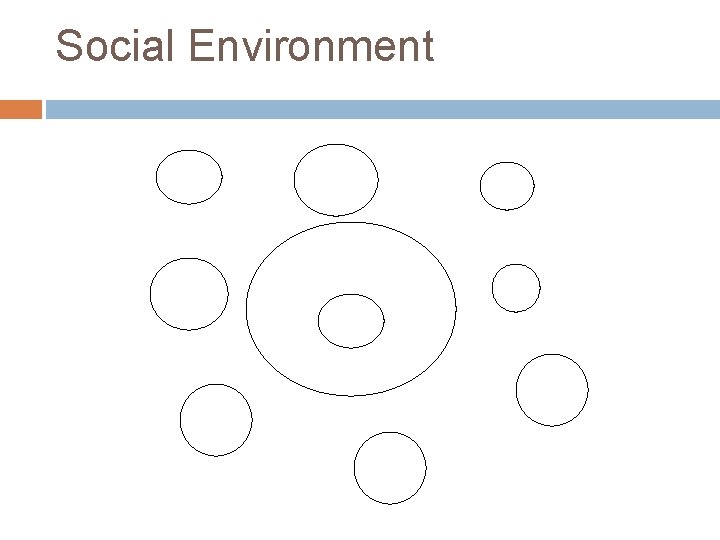 Social Environment 