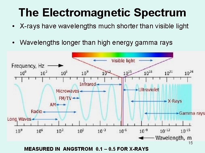 The Electromagnetic Spectrum • X-rays have wavelengths much shorter than visible light • Wavelengths