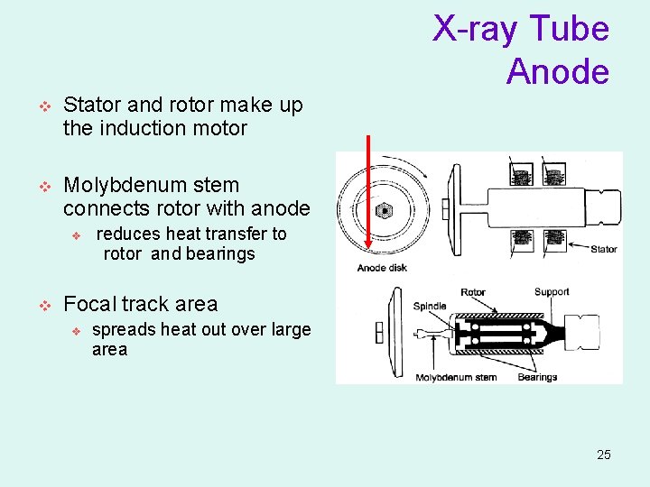 X-ray Tube Anode v Stator and rotor make up the induction motor v Molybdenum