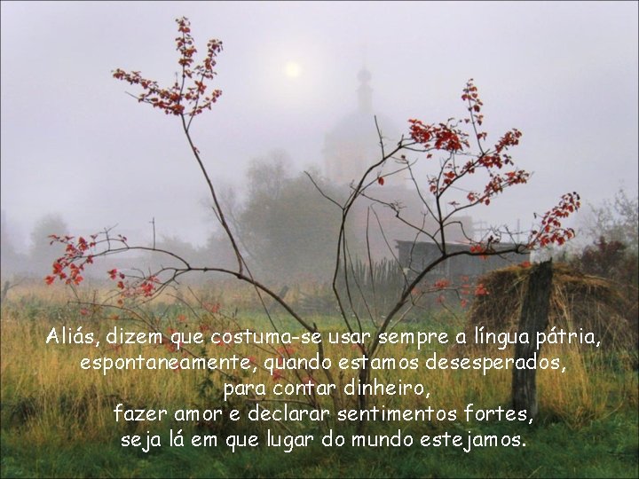 Aliás, dizem que costuma-se usar sempre a língua pátria, espontaneamente, quando estamos desesperados, para