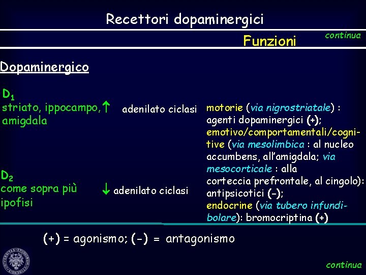 Recettori dopaminergici Funzioni continua Dopaminergico D 1 striato, ippocampo, amigdala D 2 come sopra