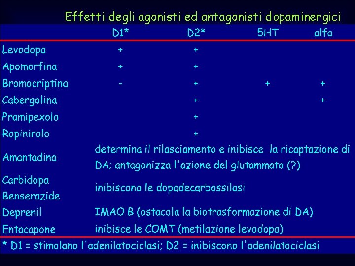 Effetti degli agonisti ed antagonisti dopaminergici 