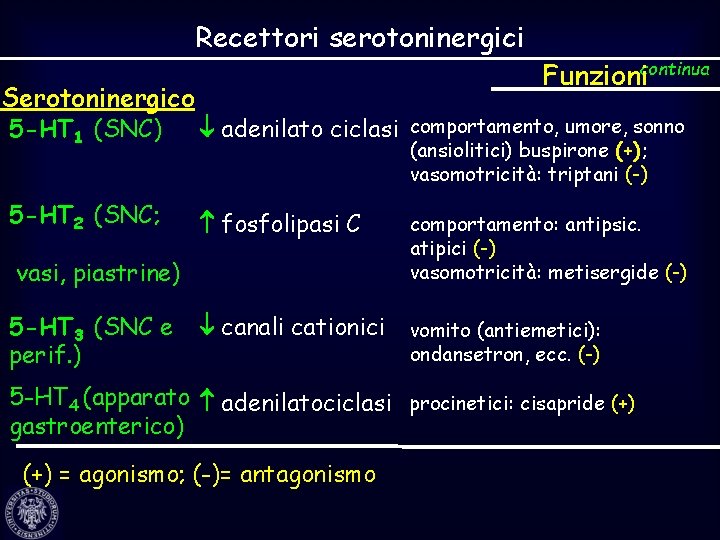 Recettori serotoninergici Serotoninergico Funzionicontinua 5 -HT 1 (SNC) adenilato ciclasi comportamento, umore, sonno 5