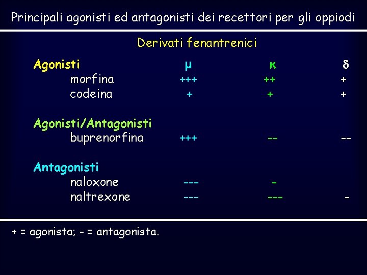 Principali agonisti ed antagonisti dei recettori per gli oppiodi Derivati fenantrenici Agonisti morfina codeina