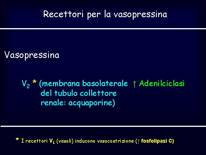 Recettori per la vasopressina V 2 * (membrana basolaterale ↑ Adenilciclasi del tubulo collettore