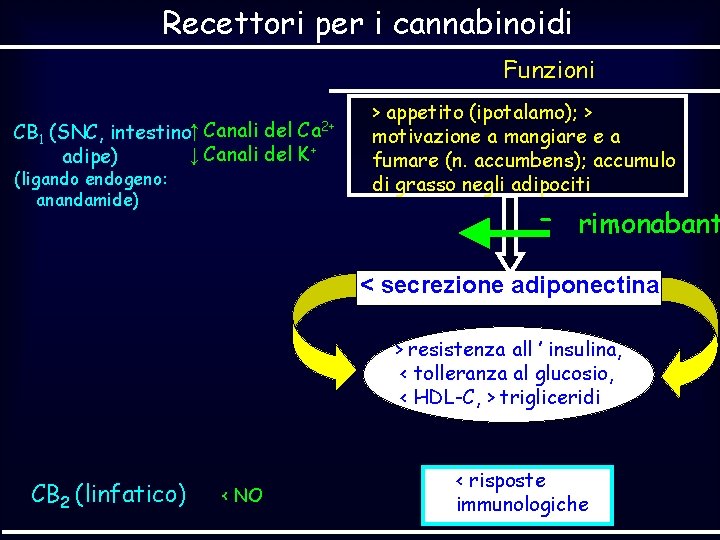 Recettori per i cannabinoidi Funzioni Ca 2+ CB 1 (SNC, intestino↑ Canali del ↓