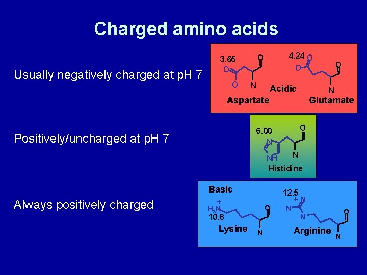 Charged amino acids Usually negatively charged at p. H 7 O- 4. 24 O