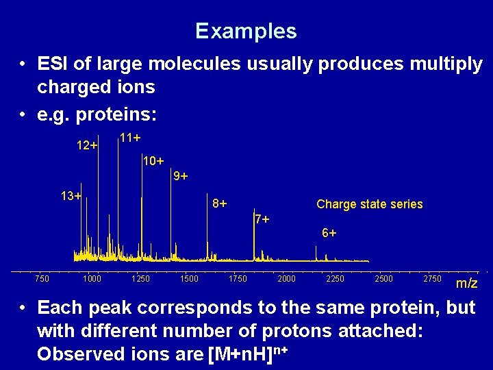 Examples • ESI of large molecules usually produces multiply charged ions • e. g.
