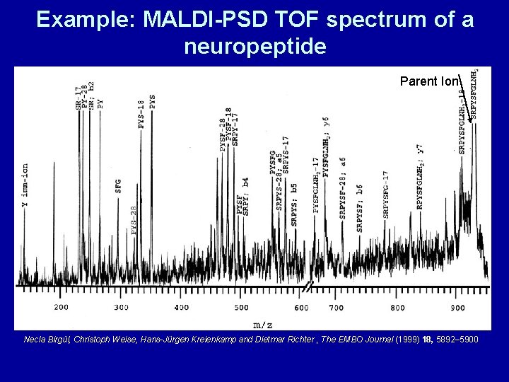 Example: MALDI-PSD TOF spectrum of a neuropeptide Parent Ion Necla Birgül, Christoph Weise, Hans-Jürgen