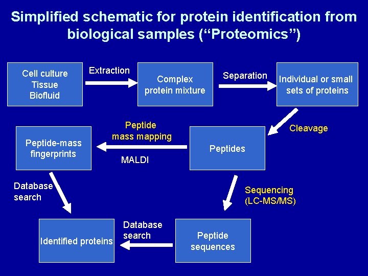 Simplified schematic for protein identification from biological samples (“Proteomics”) Cell culture Tissue Biofluid Peptide-mass