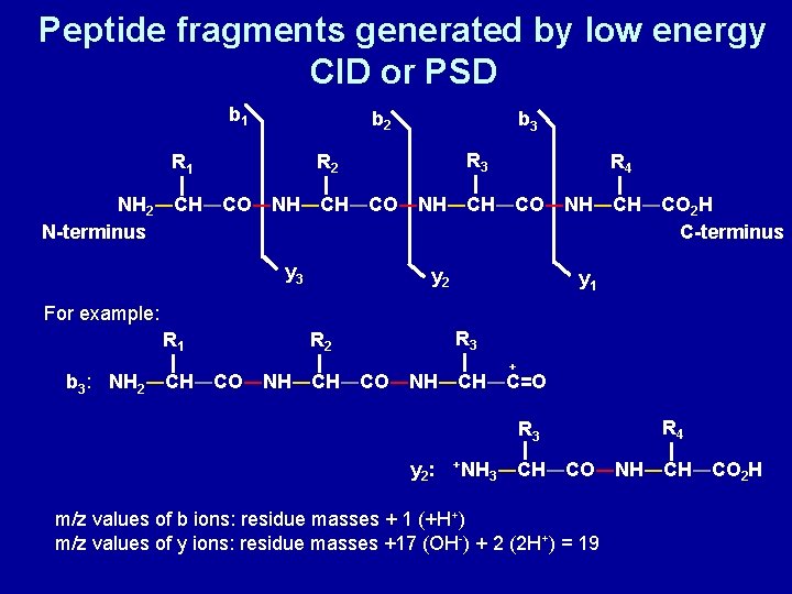 Peptide fragments generated by low energy CID or PSD b 1 b 2 b