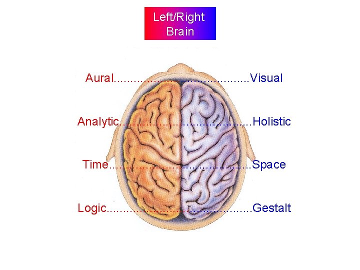 Left/Right Brain Aural. . . . . Visual Analytic. . . . . Holistic