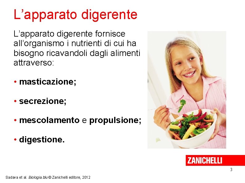 L’apparato digerente fornisce all’organismo i nutrienti di cui ha bisogno ricavandoli dagli alimenti attraverso: