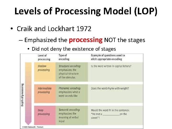 Levels of Processing Model (LOP) • Craik and Lockhart 1972 – Emphasized the processing Levels of Processing Model (LOP) • Craik and Lockhart 1972 – Emphasized the processing