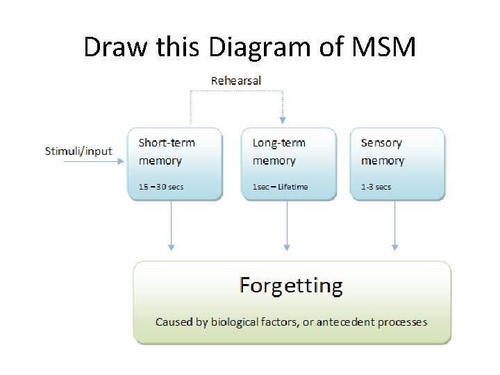 Draw this Diagram of MSM Draw this Diagram of MSM