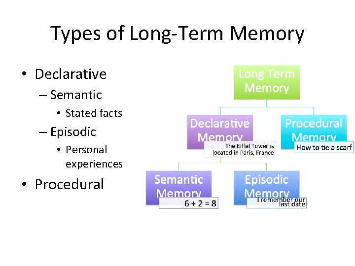 Types of Long-Term Memory • Declarative – Semantic • Stated facts – Episodic • Types of Long-Term Memory • Declarative – Semantic • Stated facts – Episodic •