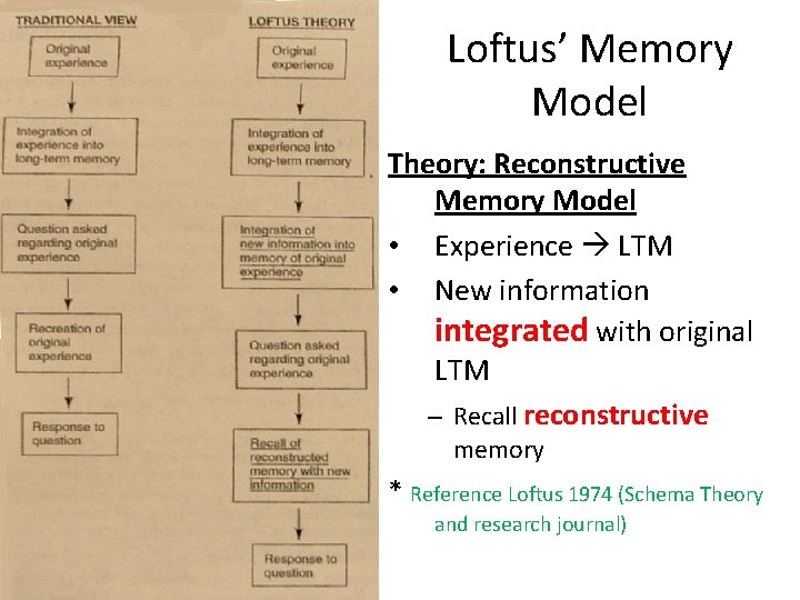 Loftus’ Memory Model Theory: Reconstructive Memory Model • Experience LTM • New information integrated Loftus’ Memory Model Theory: Reconstructive Memory Model • Experience LTM • New information integrated
