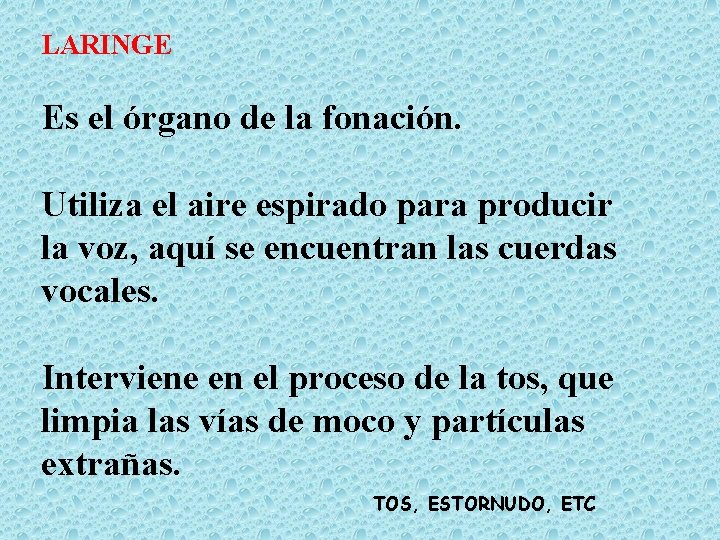 LARINGE Es el órgano de la fonación. Utiliza el aire espirado para producir la